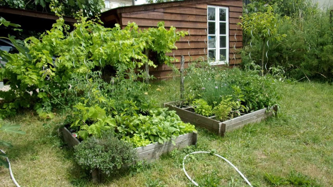 Maison Linda Ch. D'Hote Grateloup Exterior photo